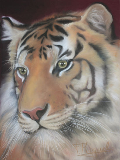 Tigre Pastel Paper Animals