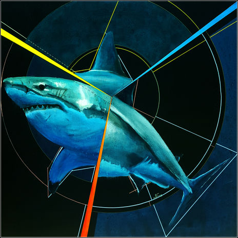 Carcharodon carcharias