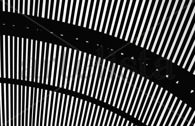 Patterns Architecture and Interiorism Black and White (Digital)