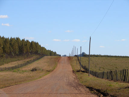 Campo