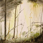 Paisajes thumbnail 1