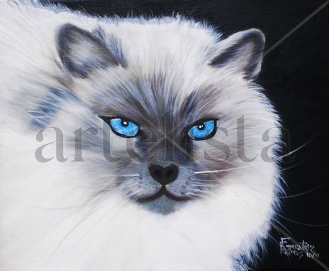 Gato