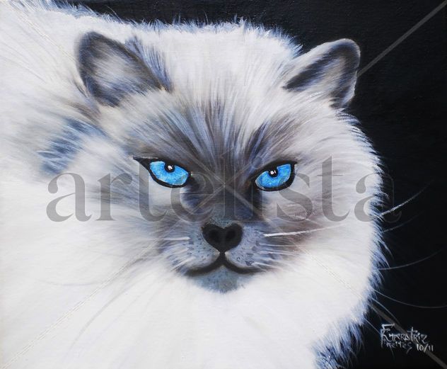 Gato