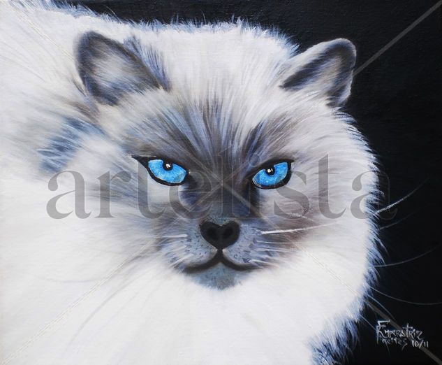 Gato Oil Canvas Animals