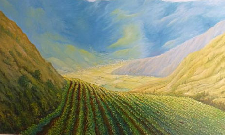 Celebración a la Agricultura