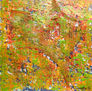 Texturas en naranja y verde