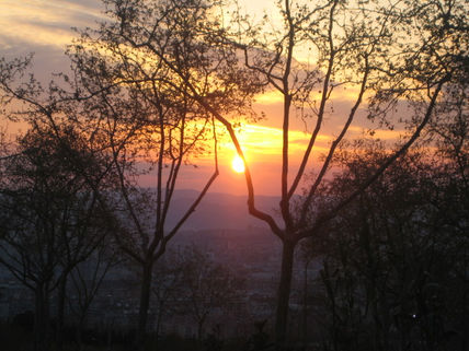 Amanecer 2