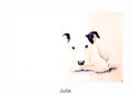 JULIA