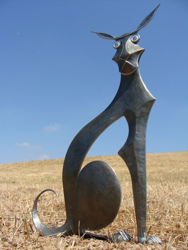 gato