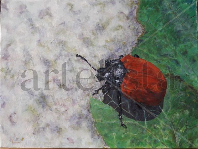 Escarabajo