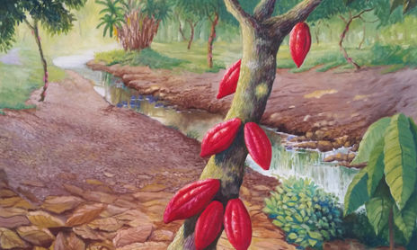 Cacaos de Venezuela