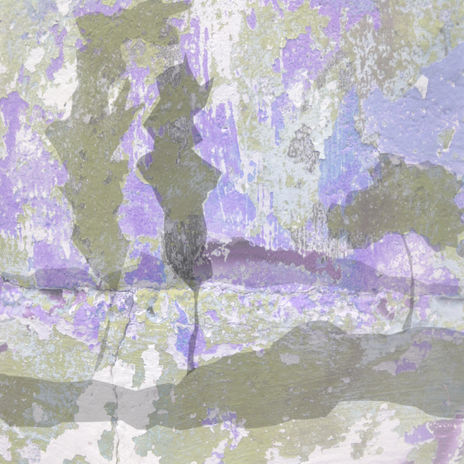 Homejane a Monet.