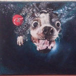 Smile thumbnail 1