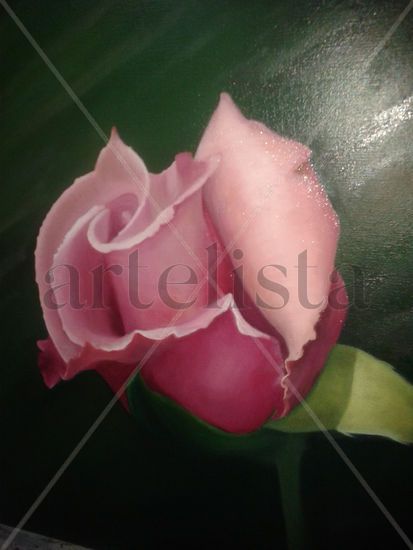 Oh rosa Oil Canvas Floral Painting