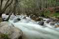 Rio Manzanares La pedriza