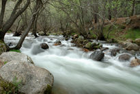 Rio Manzanares La...