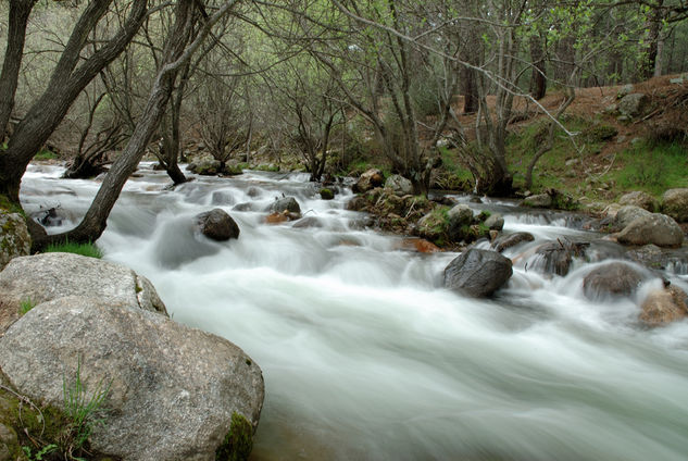 Rio Manzanares La pedriza Naturaleza Color (Digital)