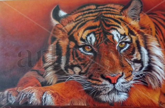 Tiger Oil Canvas Animals