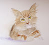 gato pensador