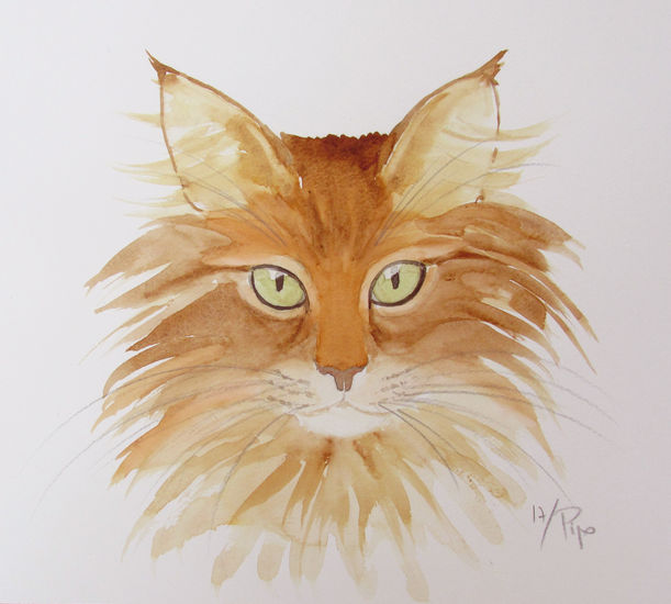 gato-leon Acuarela Papel Animales