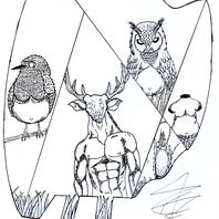 obra