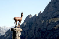 Picos de Europa