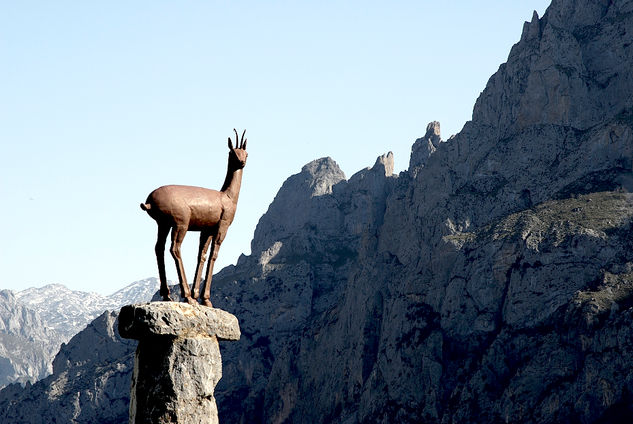 Picos de Europa Nature Color (Digital)