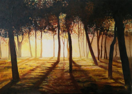 Amanecer en el parque