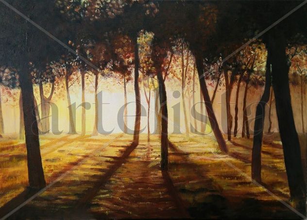AMANECER EN EL PARQUE