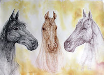 Three Horses