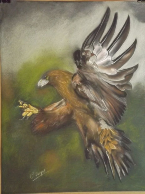 Aguila