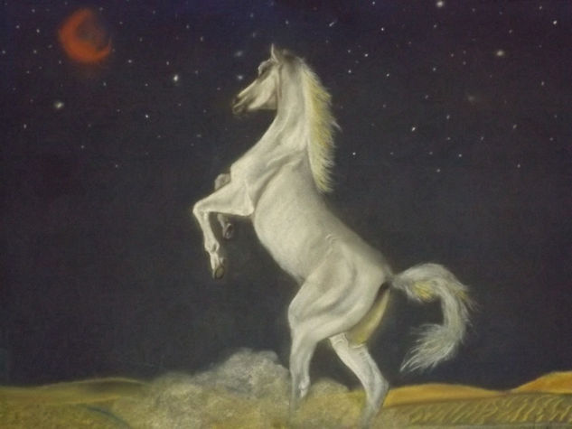 Caballo a la luz de las estrellas. Pastel Cartulina Animales