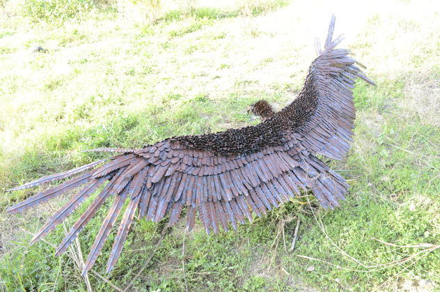 AGUILA REAL