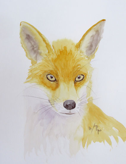 zorro Watercolour Paper Animals