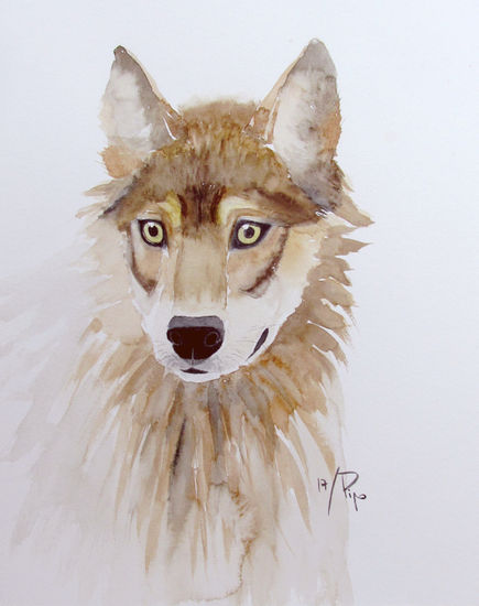 loba Watercolour Paper Animals