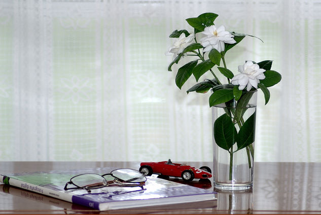 gardenias,libro,coche,y gafas Still lifes Color (Digital)