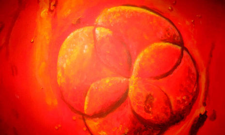 microfotografia en pintura