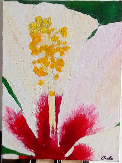 Hibisco I Acrylic Panel Floral Painting