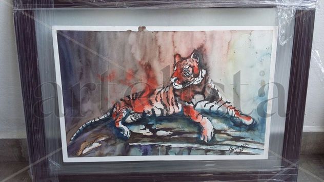 Tigre meditando.