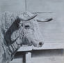 Toro de Lidia