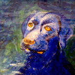 artistaenzo.com thumbnail 1