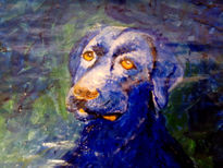 My Blue Dog