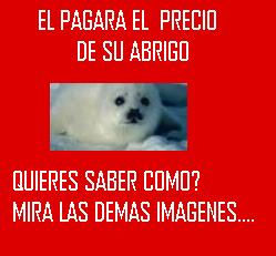 Amor por la moda