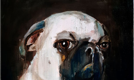 Animales