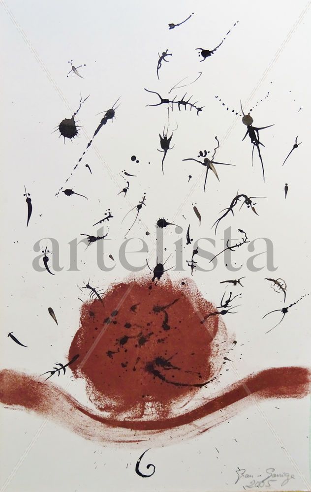 Animals (Animales)