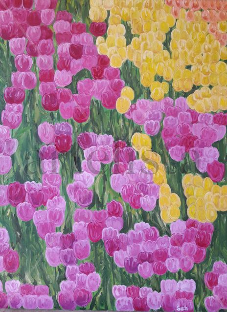 Campo de tulipanes