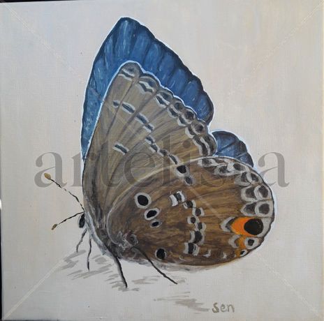 Mariposa azul