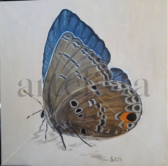 MARIPOSA AZUL Oil Canvas Animals