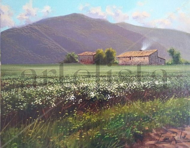 campo de alforfón Oil Canvas Landscaping