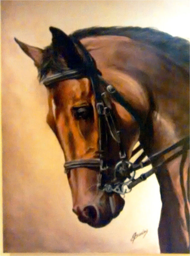 caballo chileno